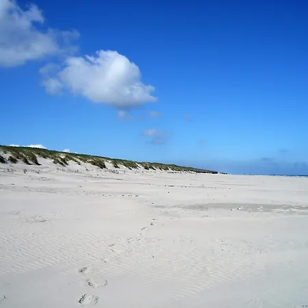 Haus Delft Phyllis Appartement