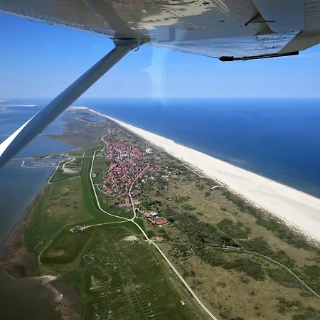 Haus Delft Phyllis *